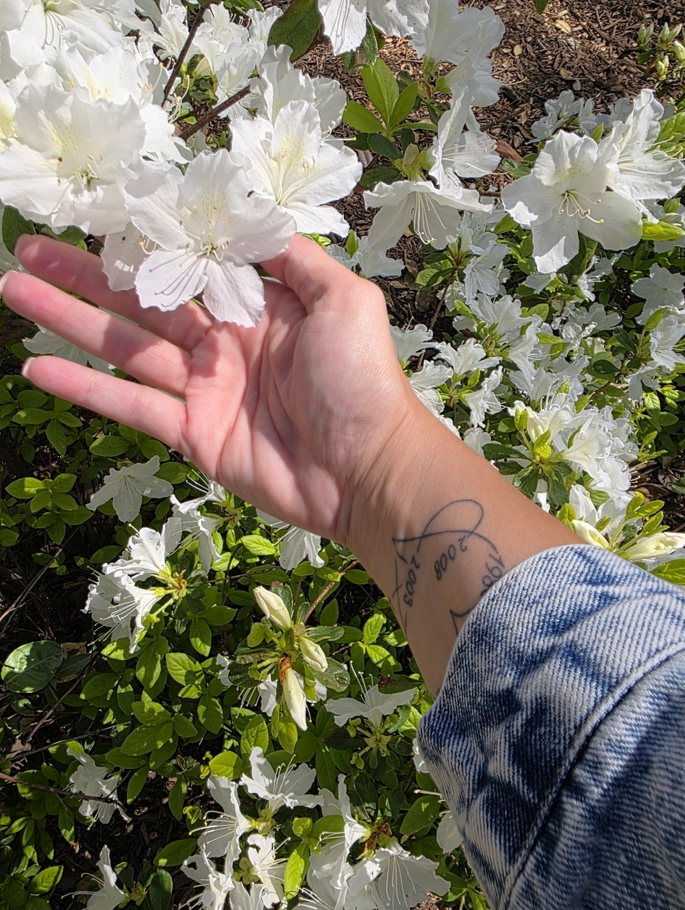 Join Me On Saturday At 10:00am CST - Picture 5 of 5